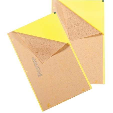 Phytotronics Pestrap Jumbo Sticky Traps, PK12 4605